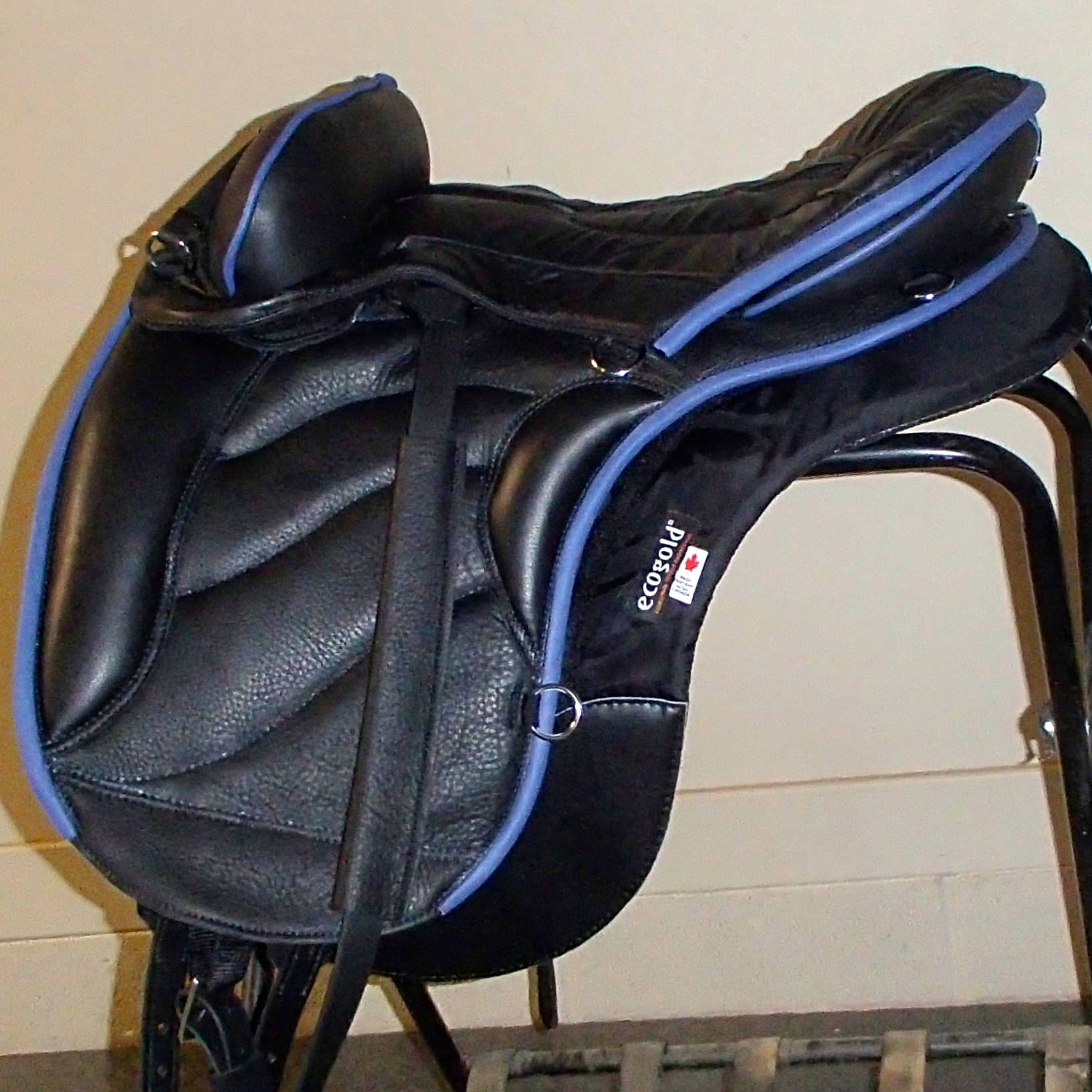 Sensation Saddles SW Future Foal