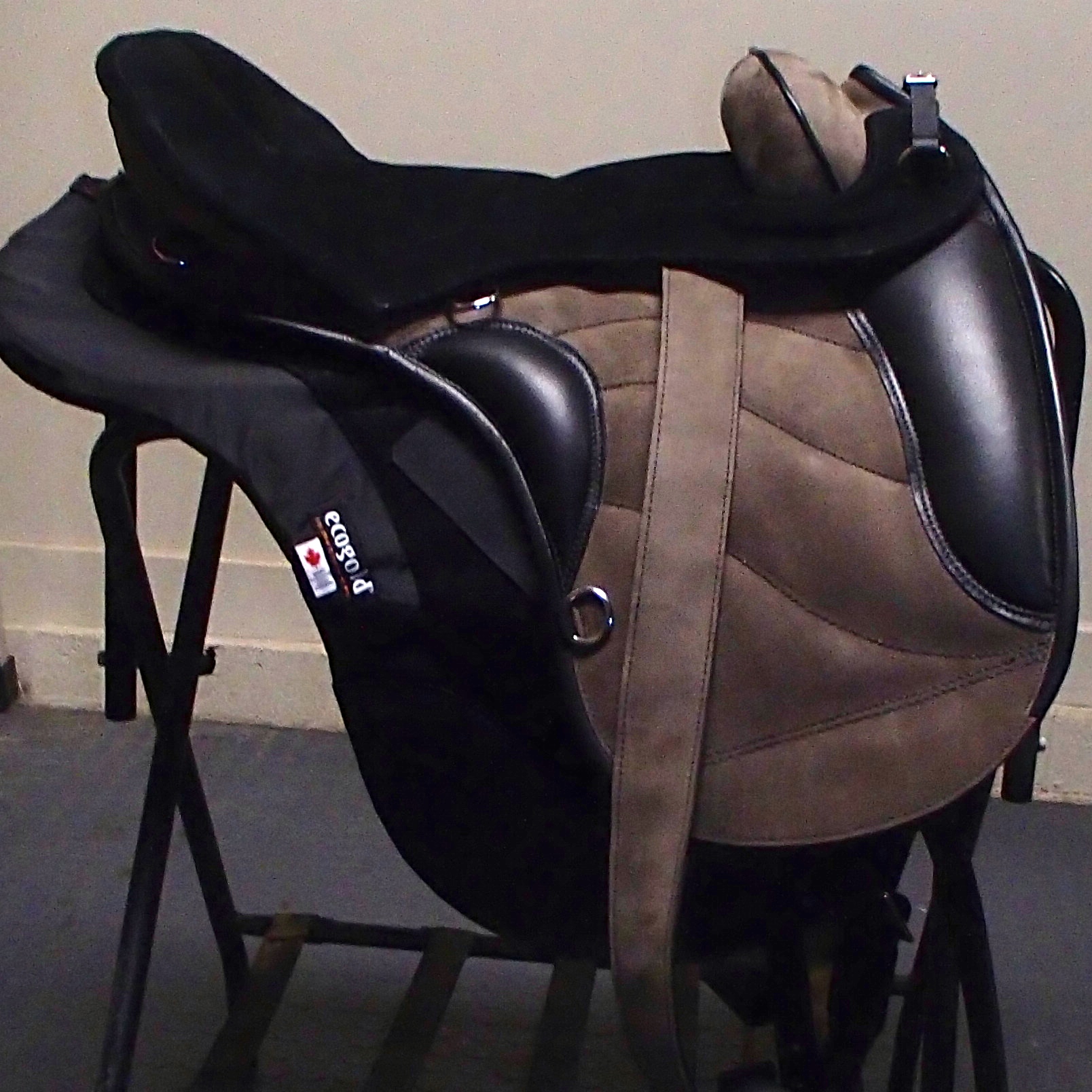 Sensation Saddles SW Future Foal