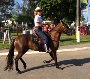Reserve champion mare at the CBM in Bahia - marcha picada